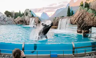 Découvrez l'incroyable univers marin de Sea World San Diego