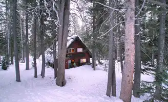 Découvrez les merveilles de Bear Valley en Californie