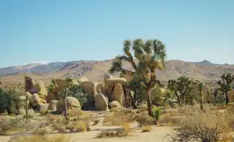 Explorez l'incroyable Parc National de Joshua Tree en Californie