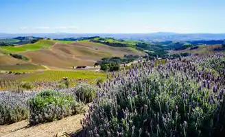 Paso Robles : Région viticole et sources thermales en Californie