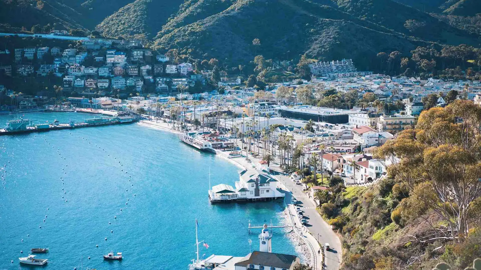 Catalina Island