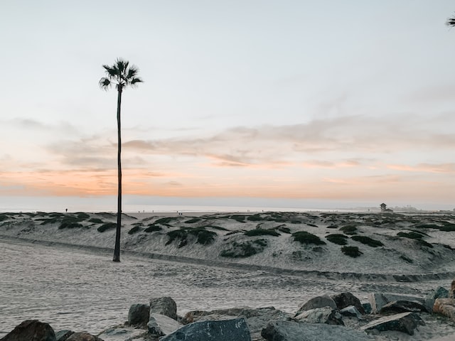 Coronado Beach