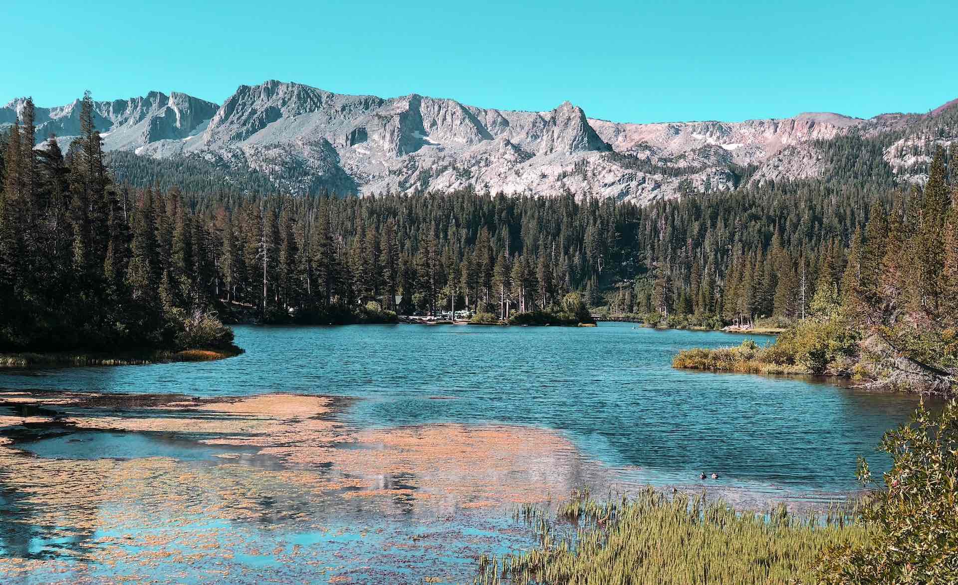 Mono Lake